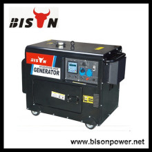 BISON(CHINA)Factory Supplier Diesel Generator 4.5kw